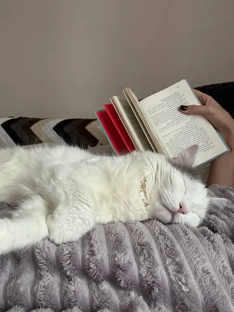 Maru purrs, hugs me and pretends that she wasn't the one who broke the mug, threw up and knocked over the flower at three in the morning