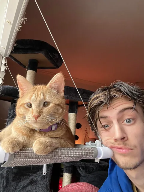 I’ve lost my best friend Link