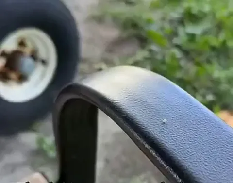 This little bug just vibing on the arm of a chair