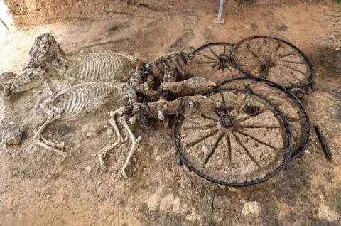 A 2000 year old Thracian chariot with horse skeletons.