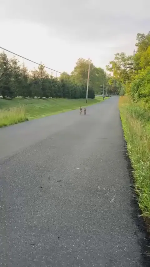 That was definitely done on a dare