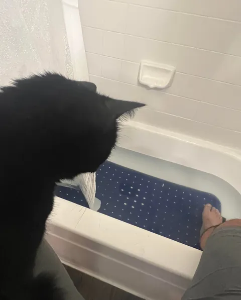 Rolled my ankle today and someone wanted to supervise my hot soak 😂