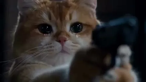 I’m crying 😿