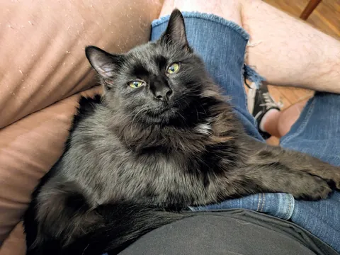 He just likes looking at me