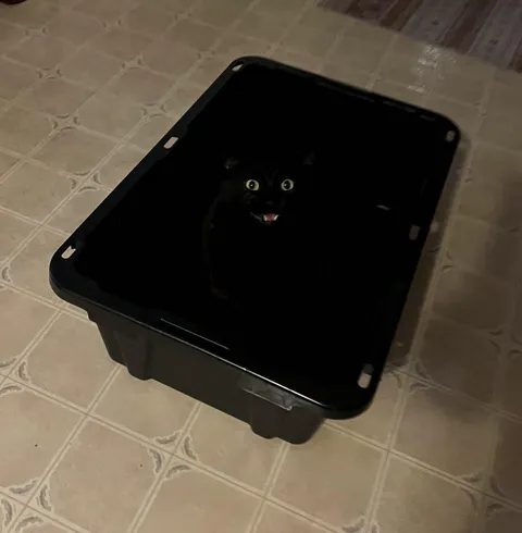 I couldn’t find him till he yelled