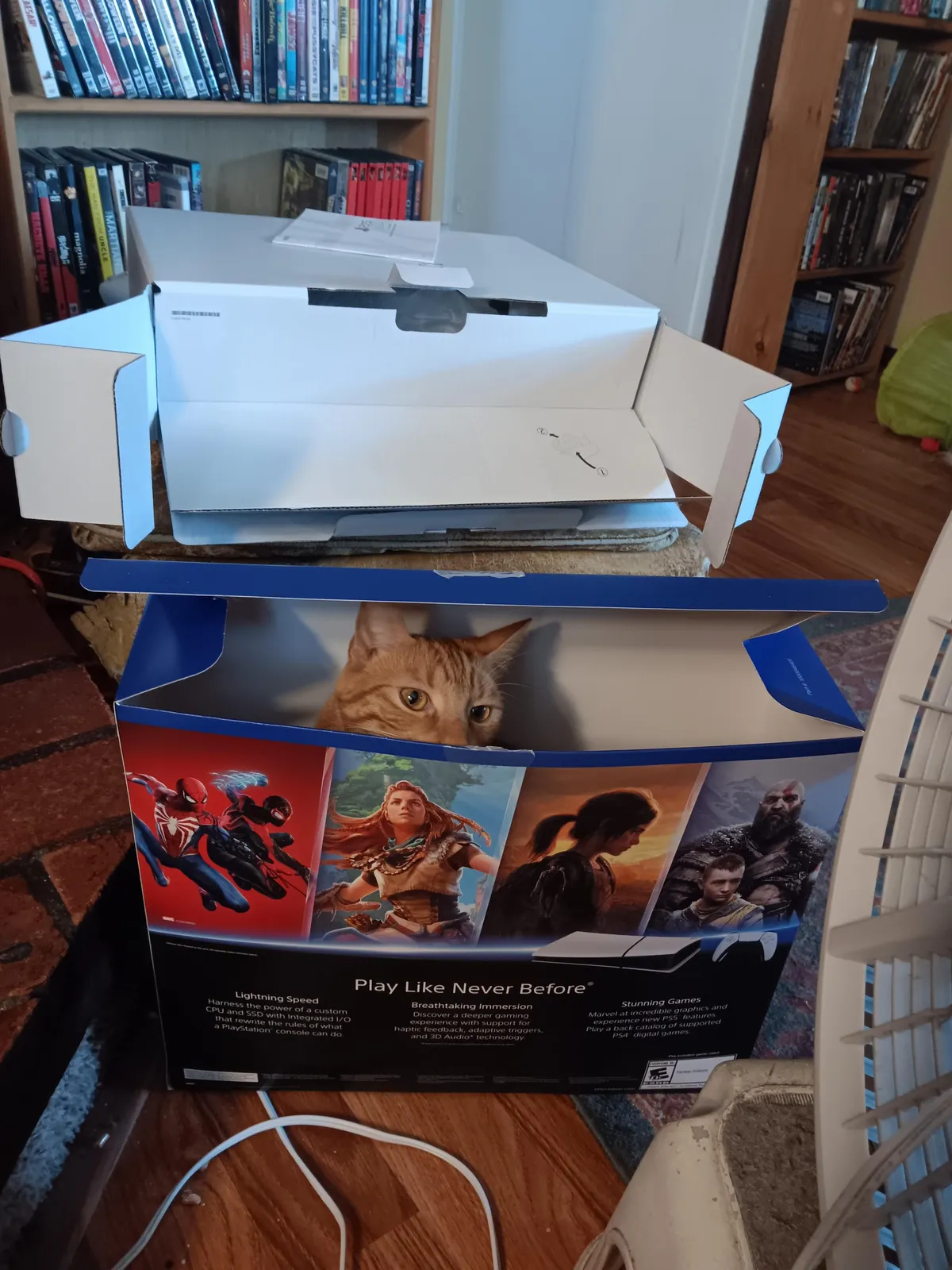 Unmarked PS5 Slim Stray edition 