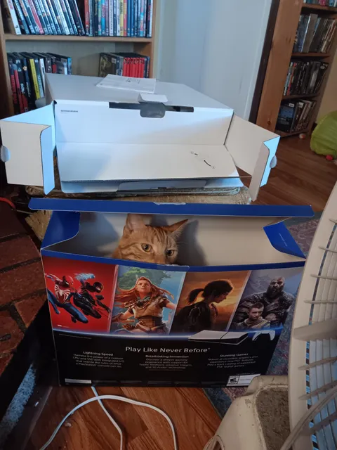 Unmarked PS5 Slim Stray edition 