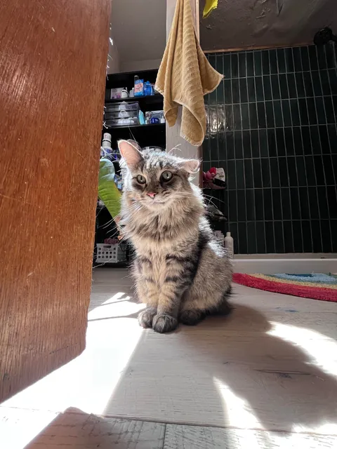 My GF says he’s ugly :(