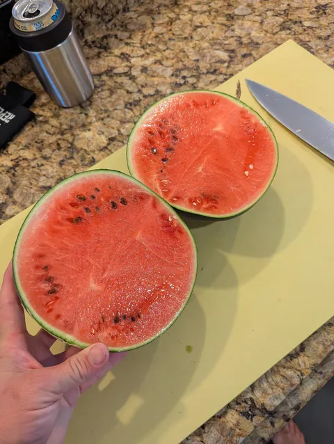 I grew my first watermelon!!!!