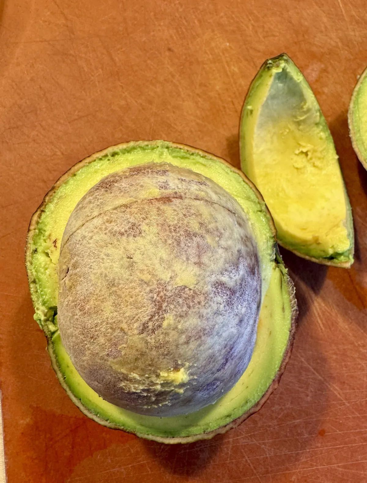 This avocado I got from a farmers market in Hawaii 