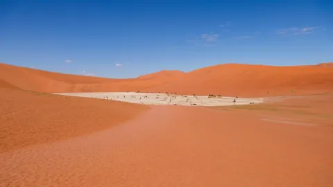 Magical Namibia