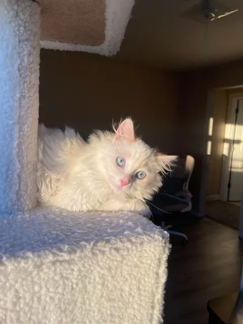 my son and his transformation pics!!