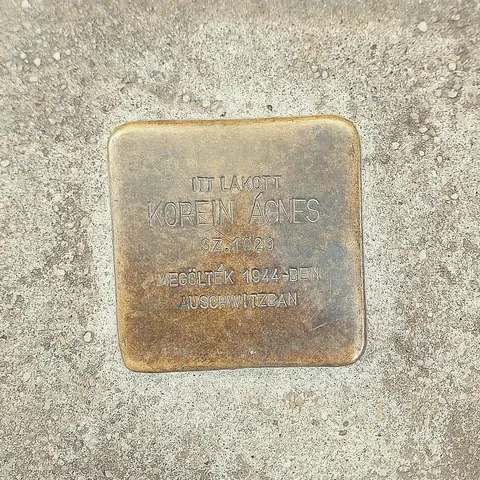 A 15 year old pupil from Hungary who was killed in the Holocaust