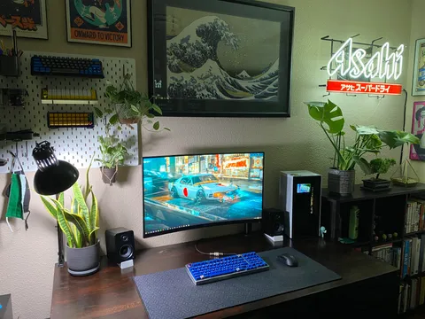 Became a plant dad and built my first battlestation around the same time.