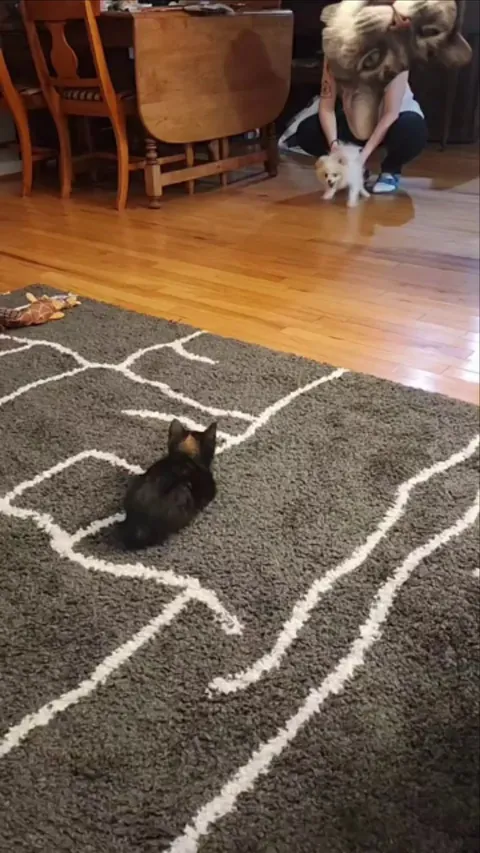 Their first time playing together versus 6 months later ❤️