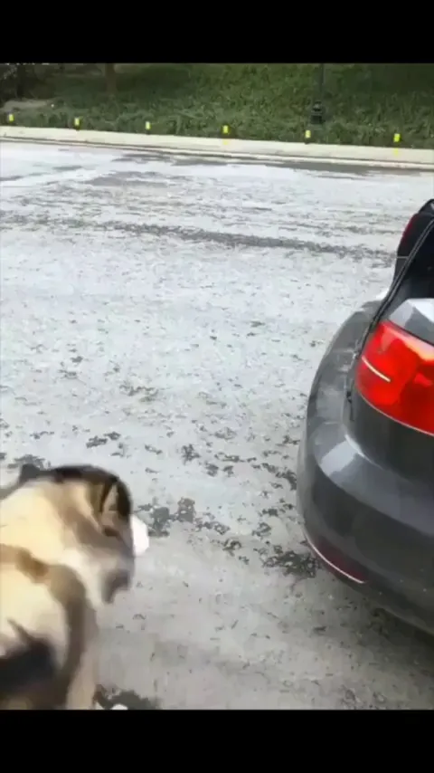 Favorite Place to have a ride