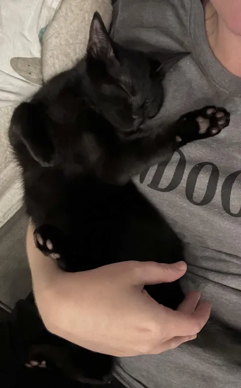 This is Bean. These are Bean's beans.