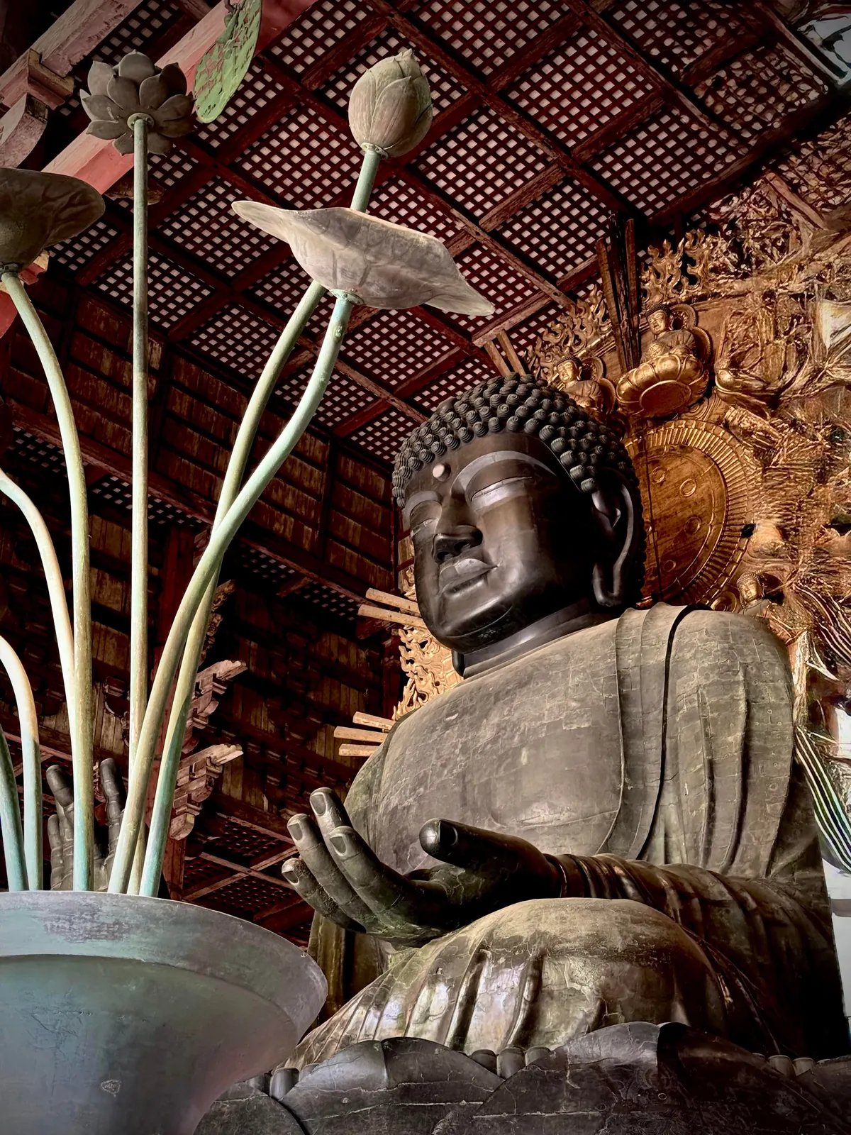 My thoughts after 2 weeks in Japan (Tokyo, Kyoto, Osaka)