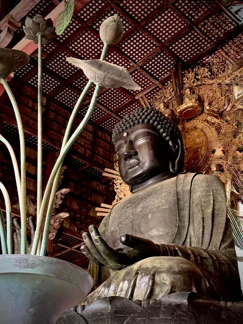 My thoughts after 2 weeks in Japan (Tokyo, Kyoto, Osaka)