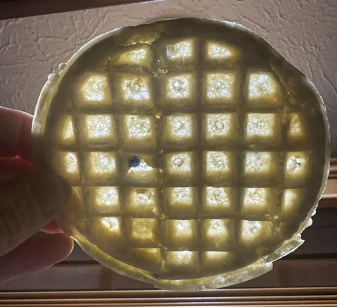 One “blueberry” in my Eggo Blueberry waffle