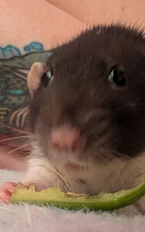 What horrors has Athena seen?