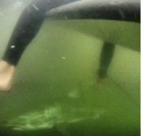 Person found this photo when checking their GoPro after surfing.