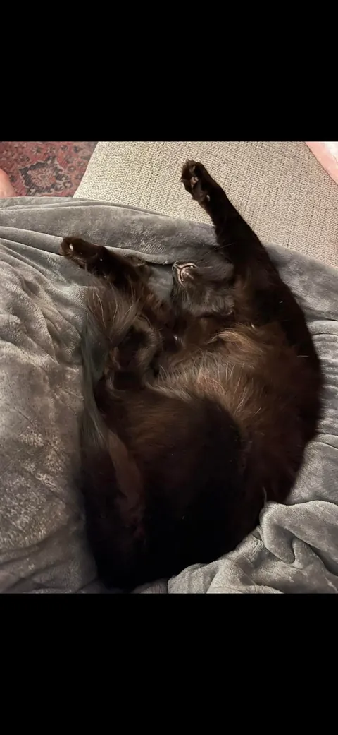 I’m abroad for ten days and I miss himmmmm