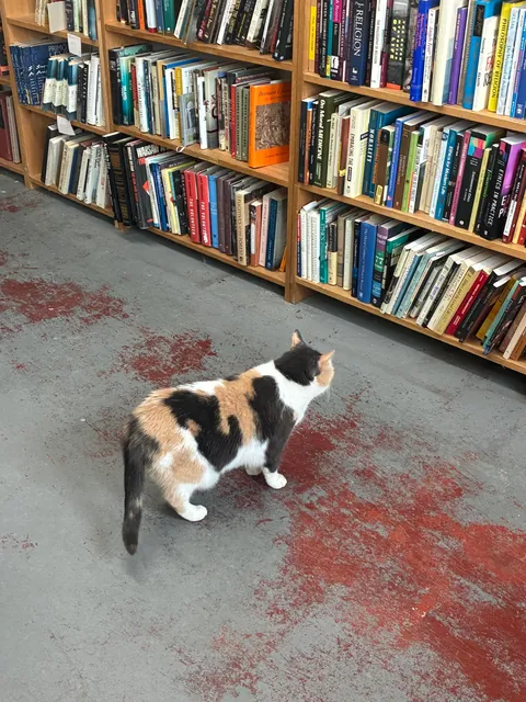 I asked this bookstore employee where the film book section was moved to