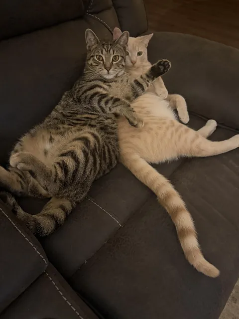 Hangin’ out watching football on New Year’s Day