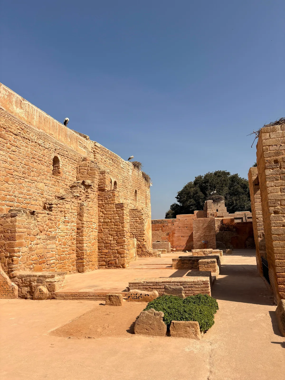 1-day stop in Rabat before visiting Morocco