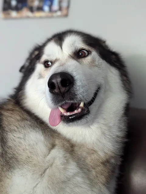 Gorgeous but not a lot going on upstairs 