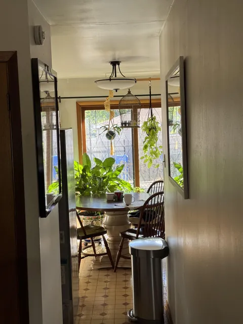 My kitchen in early morning light.  Small Chicago townhouse.  Original content.