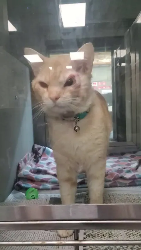This guy at my shelter <3