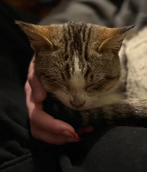 Found this girl shivering and unable to walk at a gas station 🥺