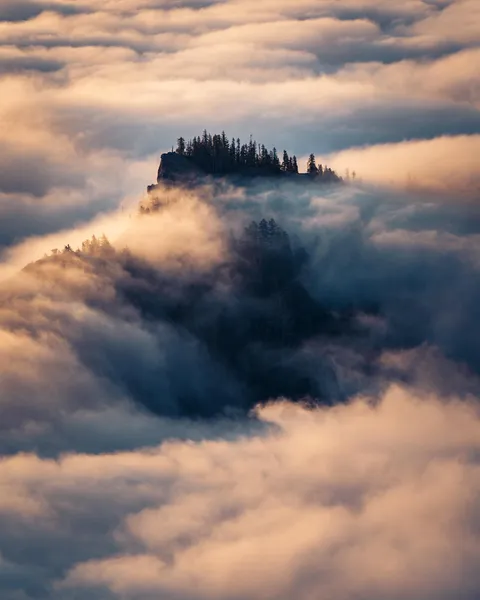 Clouds Dancing Through the Trees During an Early Morning Inversion, Mt. Rainier, WA [1638x2048][OC]
