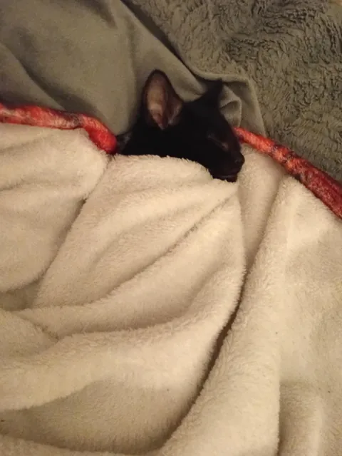 Baby void sleeping