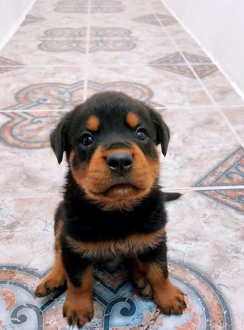 Just wanted to share this cutie