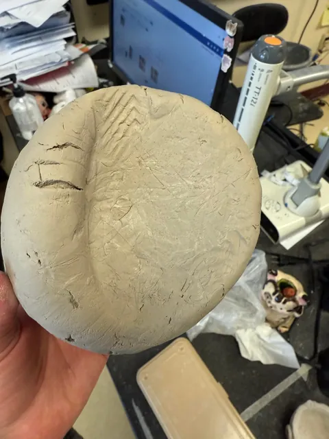 Please help me identify a shoe print!