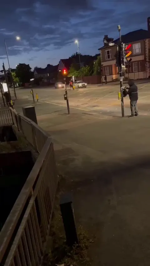 Blade Runners keep cutting down the new ULEZ carbon tracking cameras in London. The people have had enough