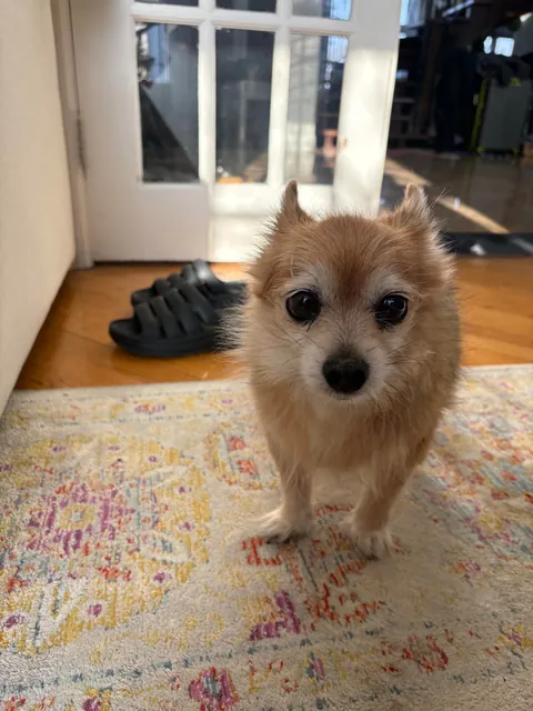 Happy Sunday from Puff Pastry 💜