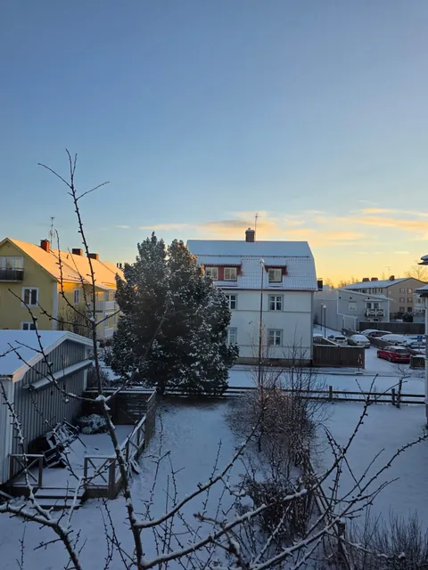 Woke up to a snowy view today