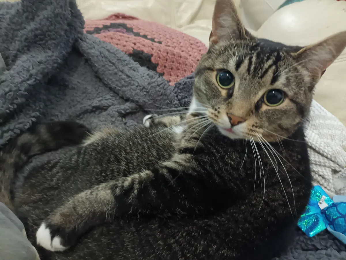 Accidentally disturbed her royal bathing and she took it personally