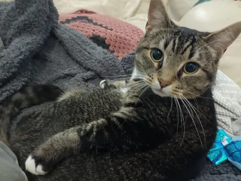 Accidentally disturbed her royal bathing and she took it personally