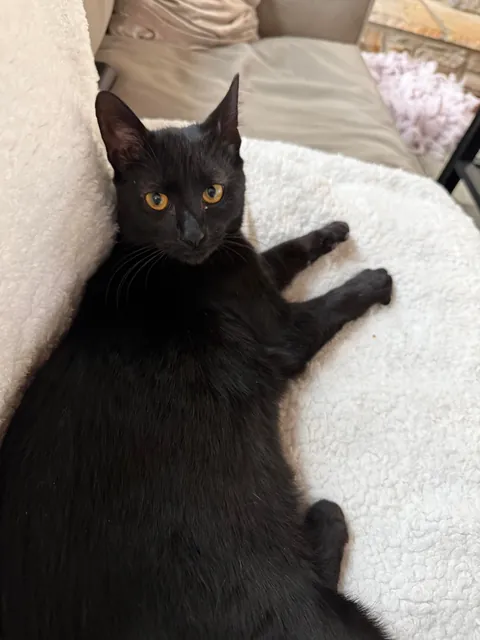 Happy 1st birthday my handsome little man!