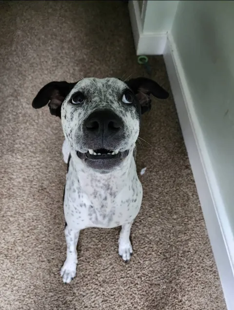 Just smile for the camera, Otto.