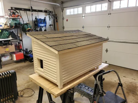 Upgrade for the neighborhood stray