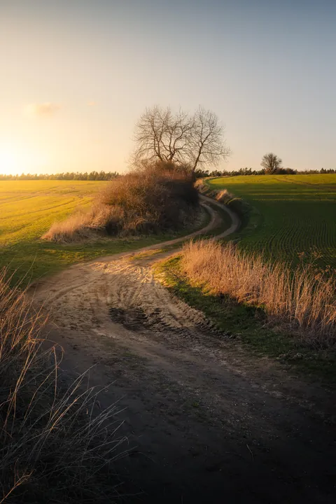 ITAP of a golden hour field