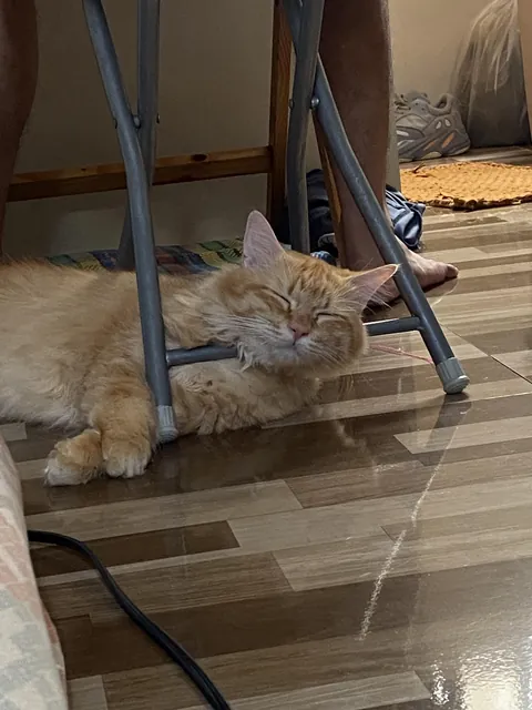 He loves resting his head on whatever’s around when he naps