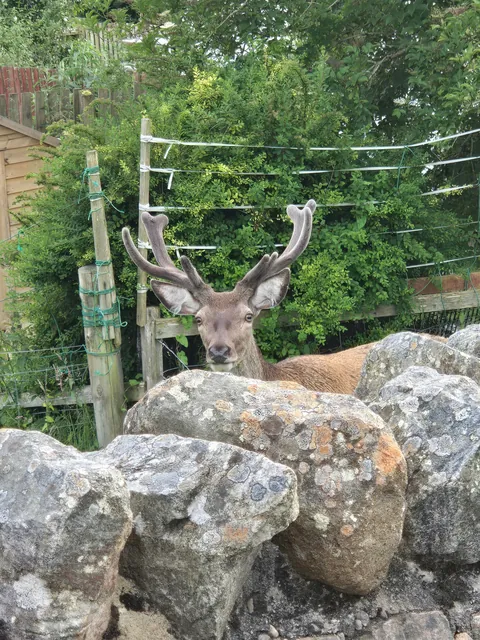 Scottish Highlands - July 2024