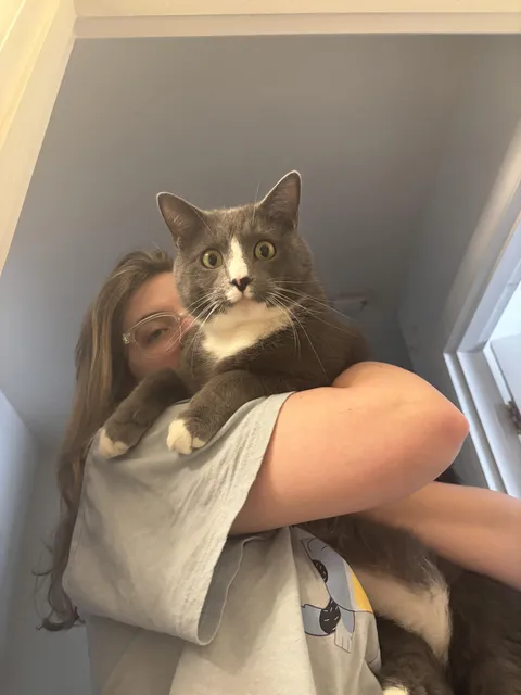 My wife brought James over to watch me working on the sink, he was absolutely flabbergasted